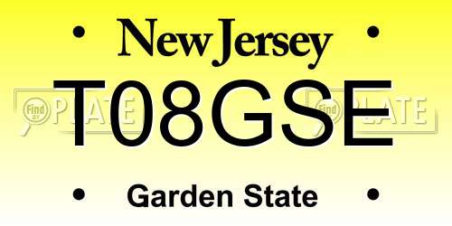 T08GSE New Jersey License Plate