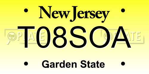 T08SOA New Jersey License Plate