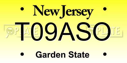 T09ASO New Jersey License Plate