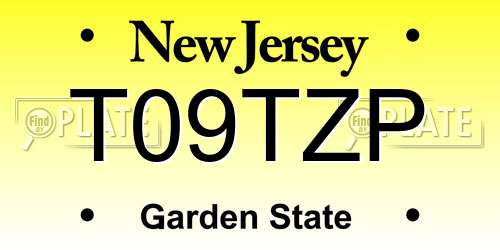 T09TZP New Jersey License Plate