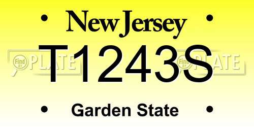 T1243S New Jersey License Plate