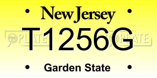 T1256G New Jersey License Plate