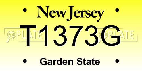 T1373G New Jersey License Plate