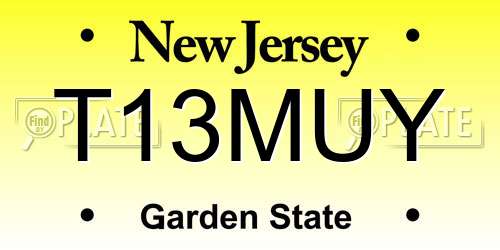 T13MUY New Jersey License Plate