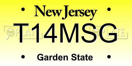 T14MSG New Jersey License Plate