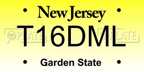 T16DML New Jersey License Plate