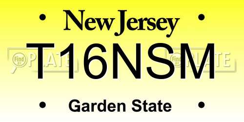 T16NSM New Jersey License Plate