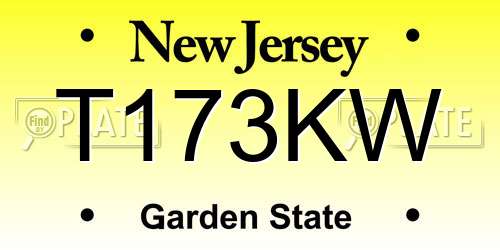 T173KW New Jersey License Plate