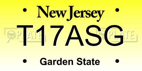 T17ASG New Jersey License Plate