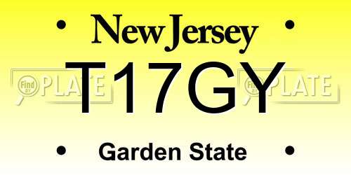 T17GY New Jersey License Plate