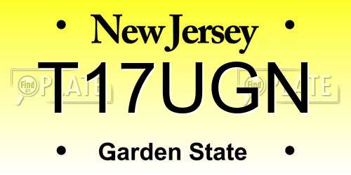 T17UGN New Jersey License Plate