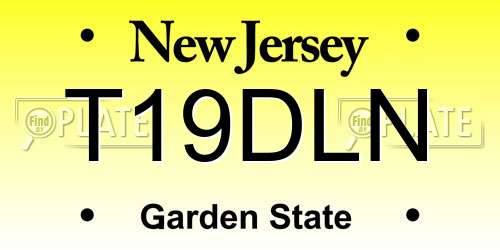 T19DLN New Jersey License Plate