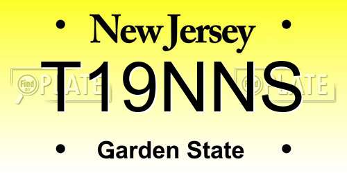 T19NNS New Jersey License Plate