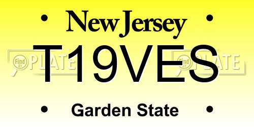 T19VES New Jersey License Plate