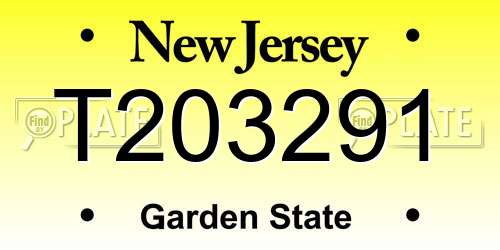 T203291 New Jersey License Plate