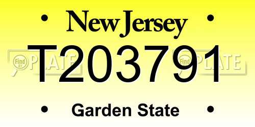 T203791 New Jersey License Plate