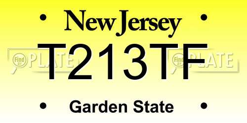 T213TF New Jersey License Plate