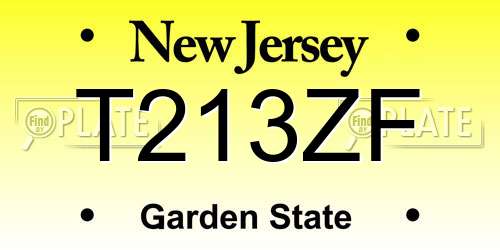 T213ZF New Jersey License Plate