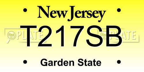 T217SB New Jersey License Plate