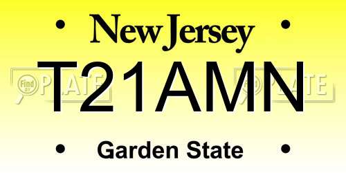 T21AMN New Jersey License Plate