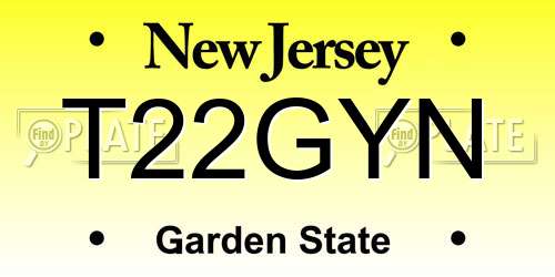 T22GYN New Jersey License Plate