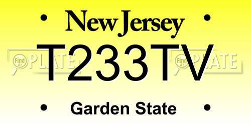 T233TV New Jersey License Plate