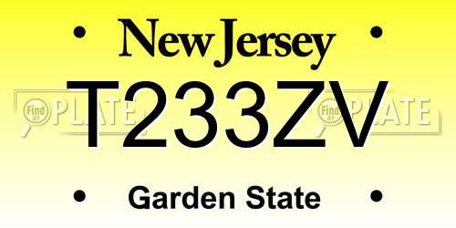 T233ZV New Jersey License Plate