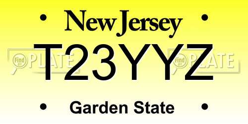T23YYZ New Jersey License Plate