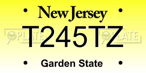 T245TZ New Jersey License Plate