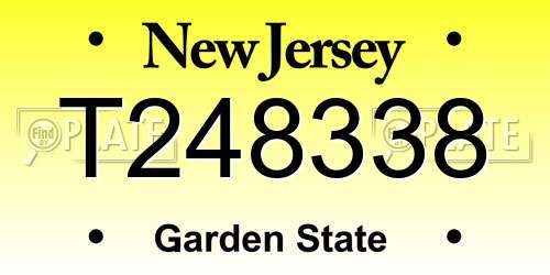 T248338 New Jersey License Plate