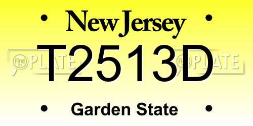 T2513D New Jersey License Plate