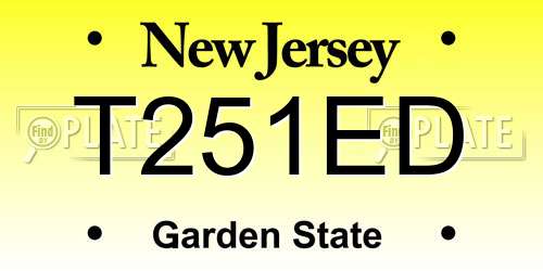 T251ED New Jersey License Plate