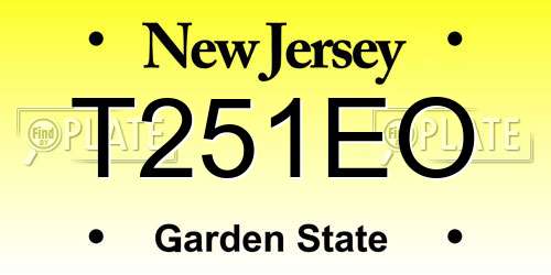 T251EO New Jersey License Plate