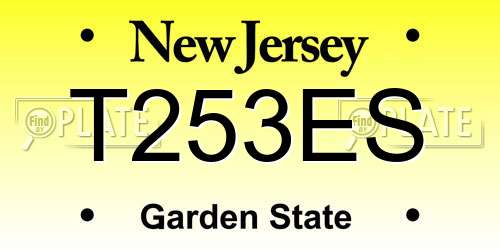 T253ES New Jersey License Plate