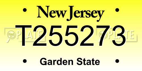 T255273 New Jersey License Plate