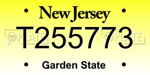 T255773 New Jersey License Plate