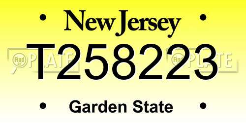 T258223 New Jersey License Plate