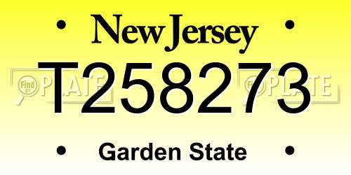 T258273 New Jersey License Plate