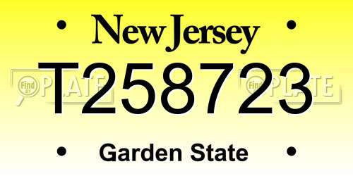 T258723 New Jersey License Plate