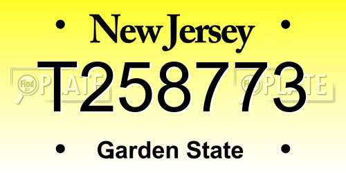 T258773 New Jersey License Plate