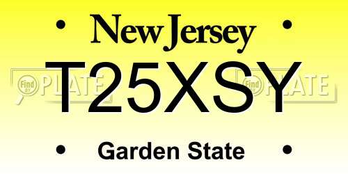 T25XSY New Jersey License Plate