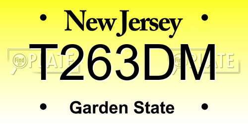 T263DM New Jersey License Plate