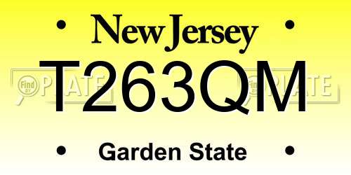 T263QM New Jersey License Plate