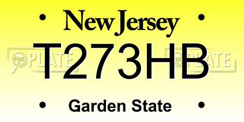 T273HB New Jersey License Plate