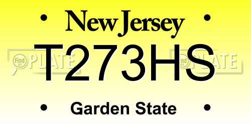 T273HS New Jersey License Plate