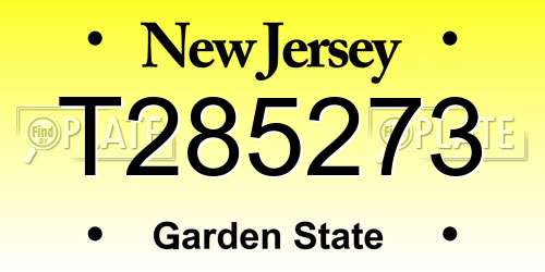 T285273 New Jersey License Plate