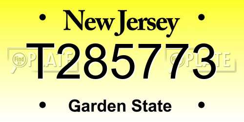 T285773 New Jersey License Plate