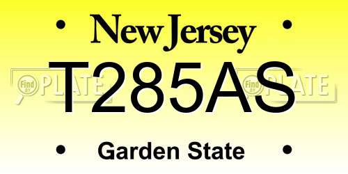 T285AS New Jersey License Plate