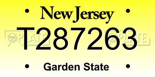 T287263 New Jersey License Plate