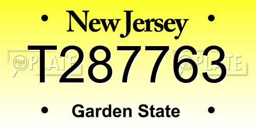 T287763 New Jersey License Plate